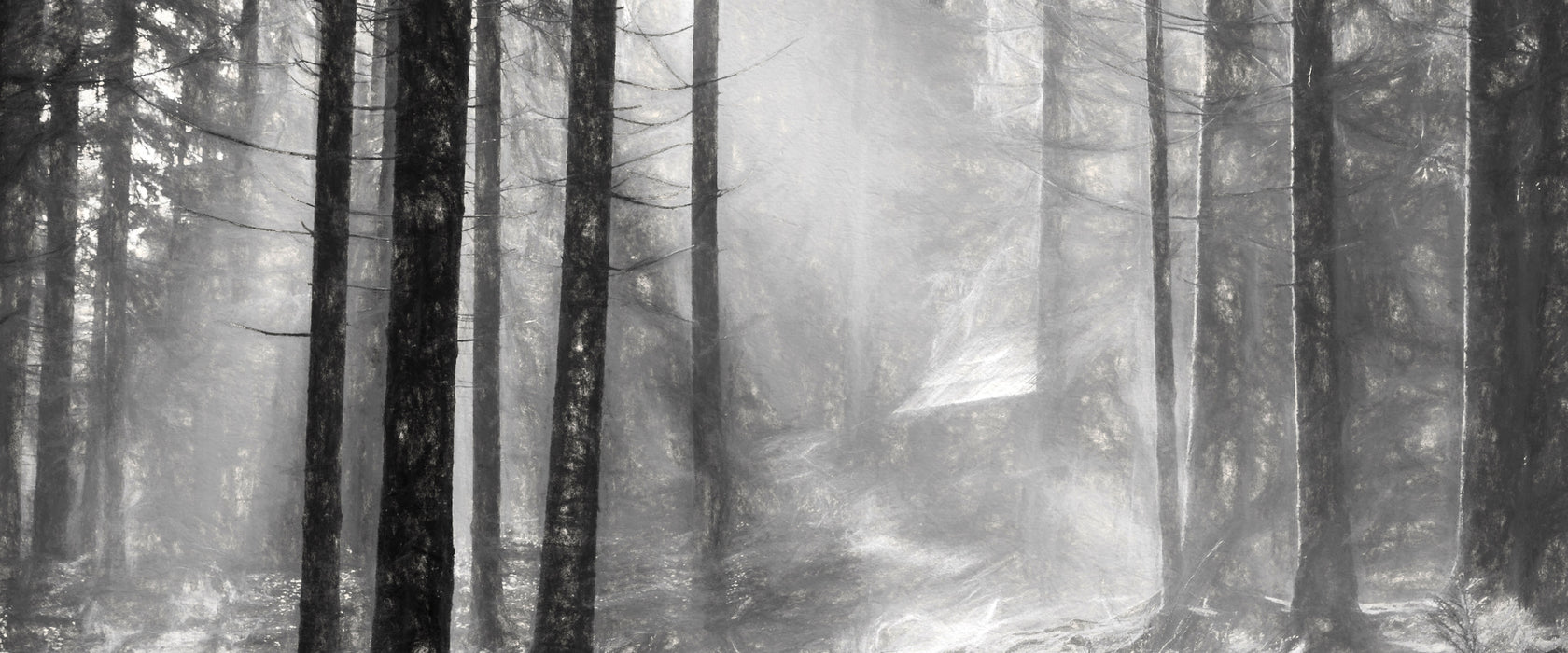 Sonnenstrahlen im Wald, Glasbild Panorama