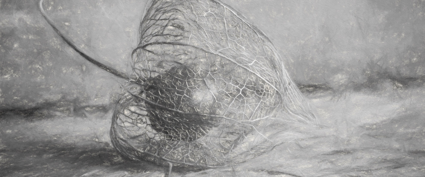 Physalis, Glasbild Panorama