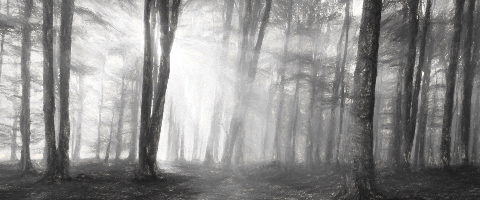 Waldlichtung im Sonnenschein, Glasbild Panorama