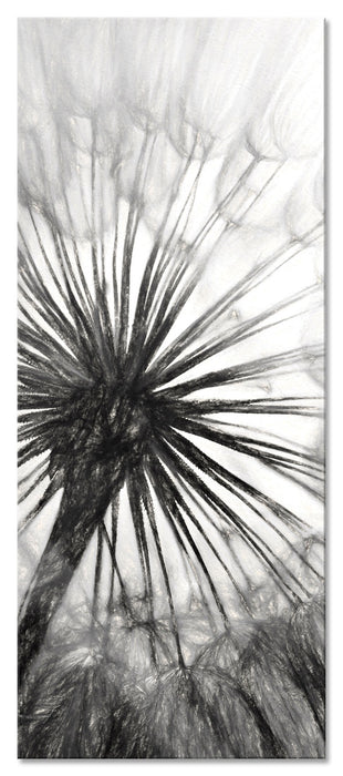 Pixxprint Schöne Pusteblume, Glasbild Panorama