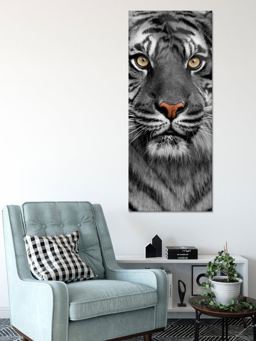 Aufmerksamer Tiger, Glasbild Panorama