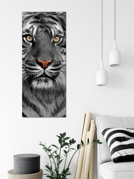 Aufmerksamer Tiger, Glasbild Panorama