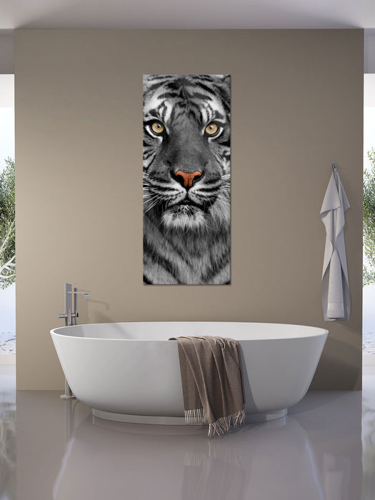 Aufmerksamer Tiger, Glasbild Panorama