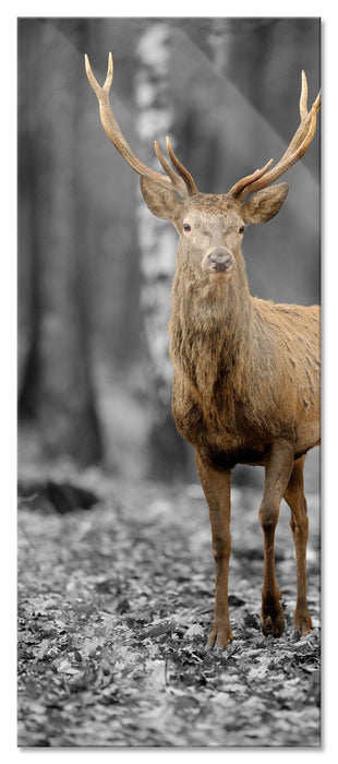 Pixxprint Schöner Hirsch im Wald, Glasbild Panorama