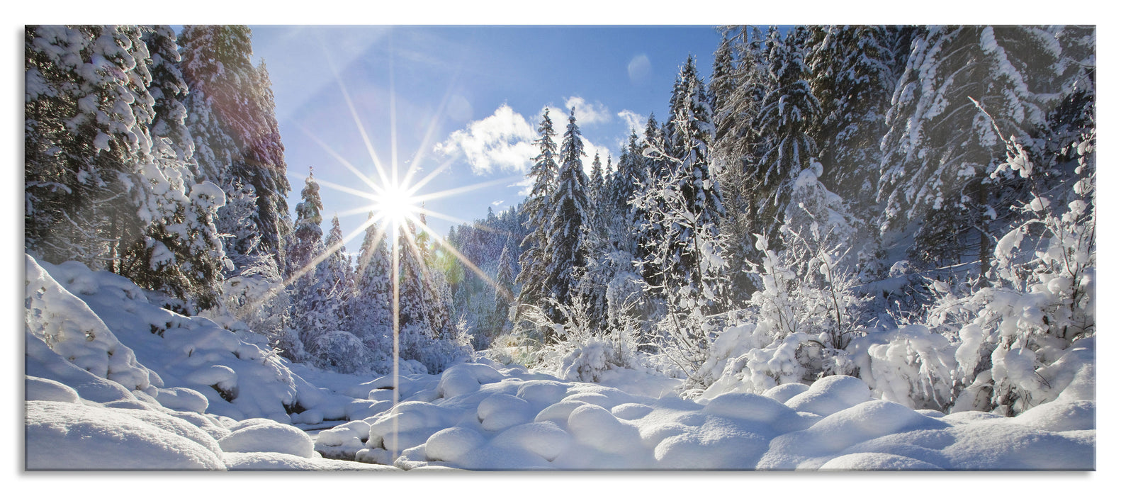 Pixxprint Sonnenstrahlen im Wald, Glasbild Panorama