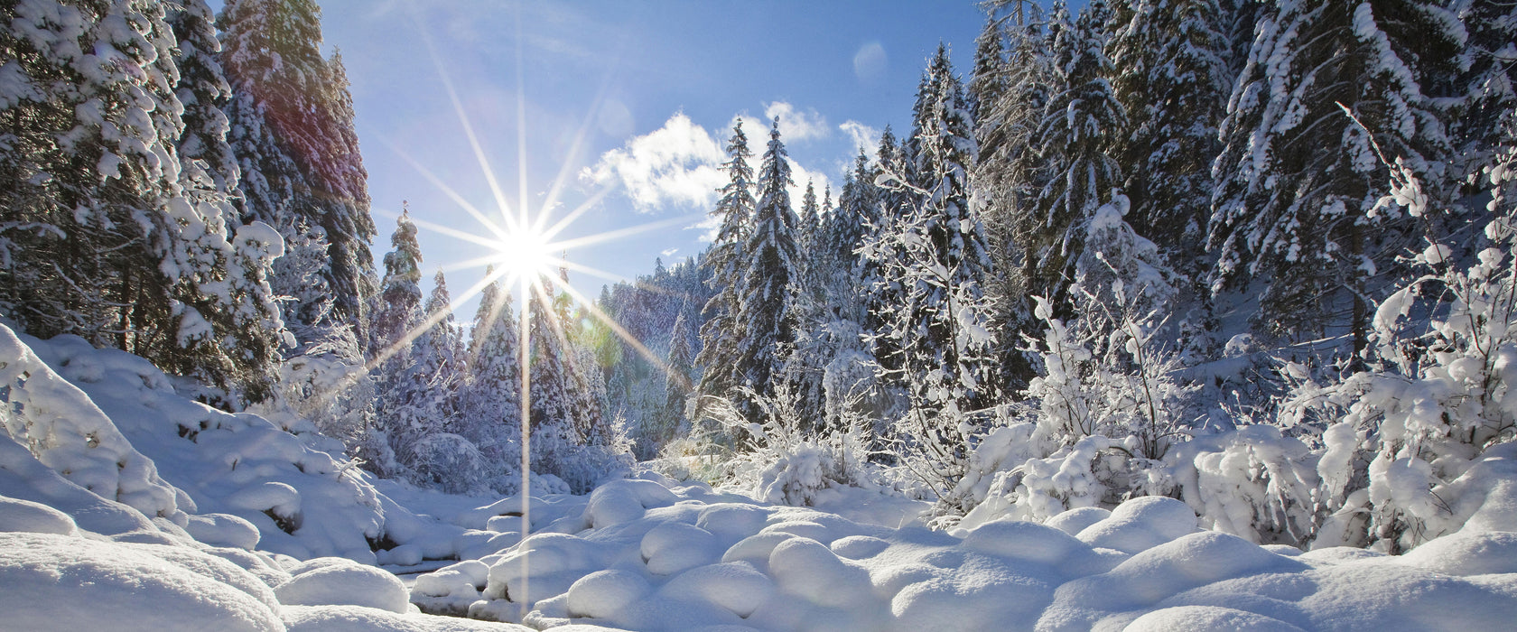 Sonnenstrahlen im Wald, Glasbild Panorama