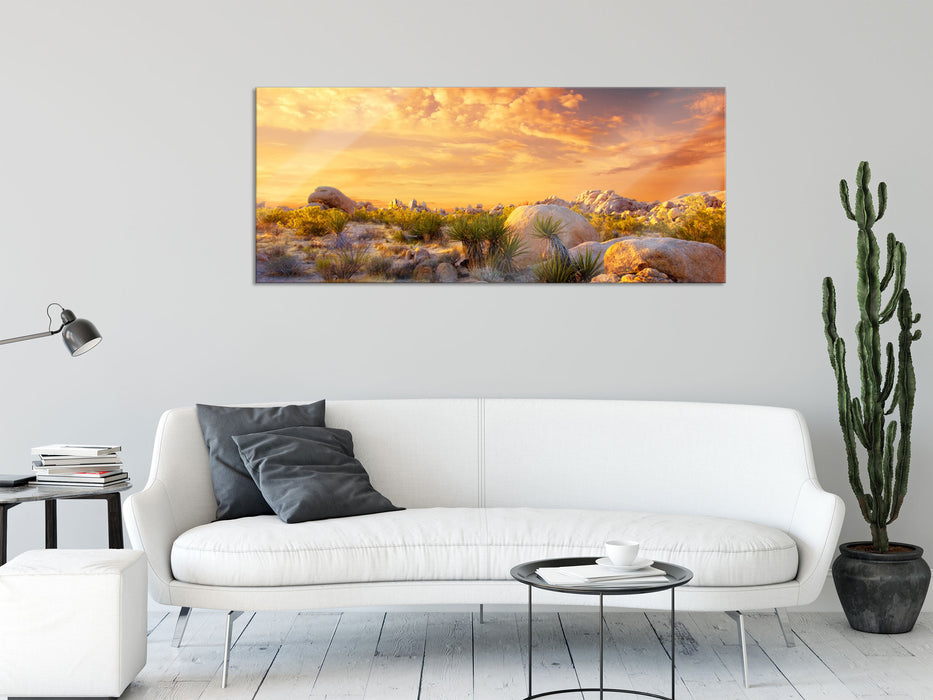 Joshua Wüste im Sonnenuntergang, Glasbild Panorama