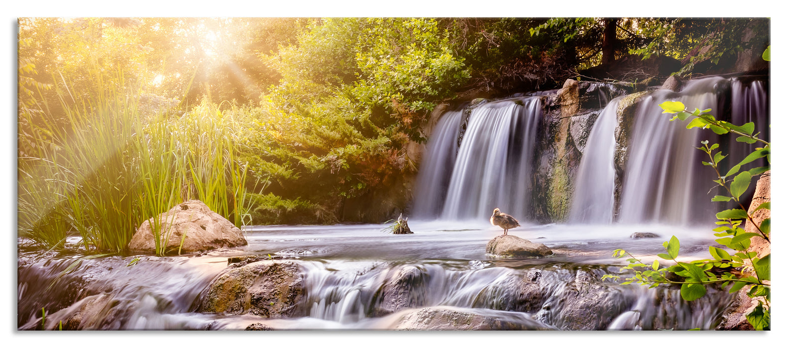 Pixxprint Wasserfall, Glasbild Panorama