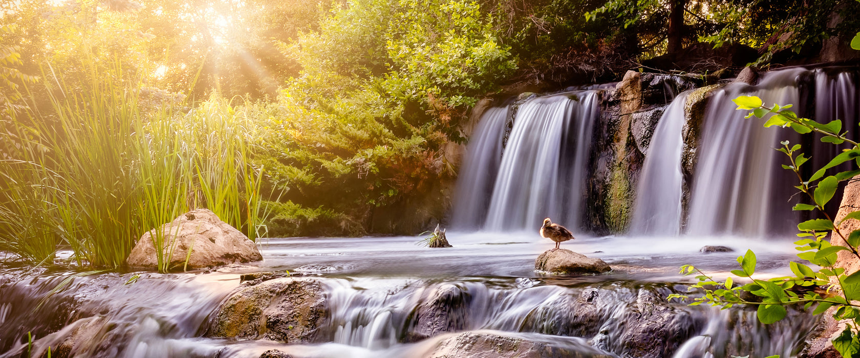 Wasserfall, Glasbild Panorama