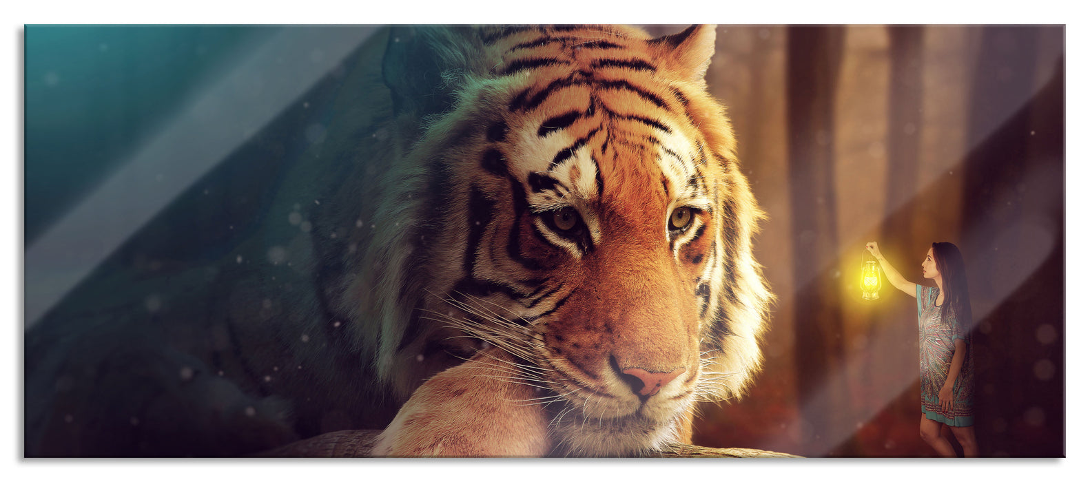 Pixxprint Eine Frau und ein Riesen-Tiger, Glasbild Panorama