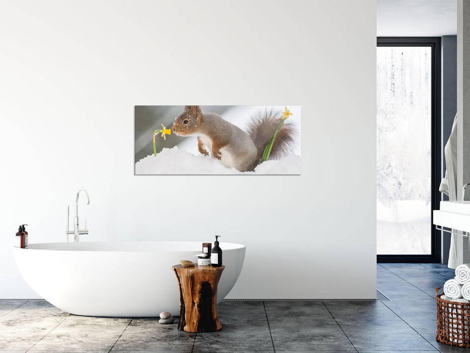 Eichhörnchen im Schnee, Glasbild Panorama