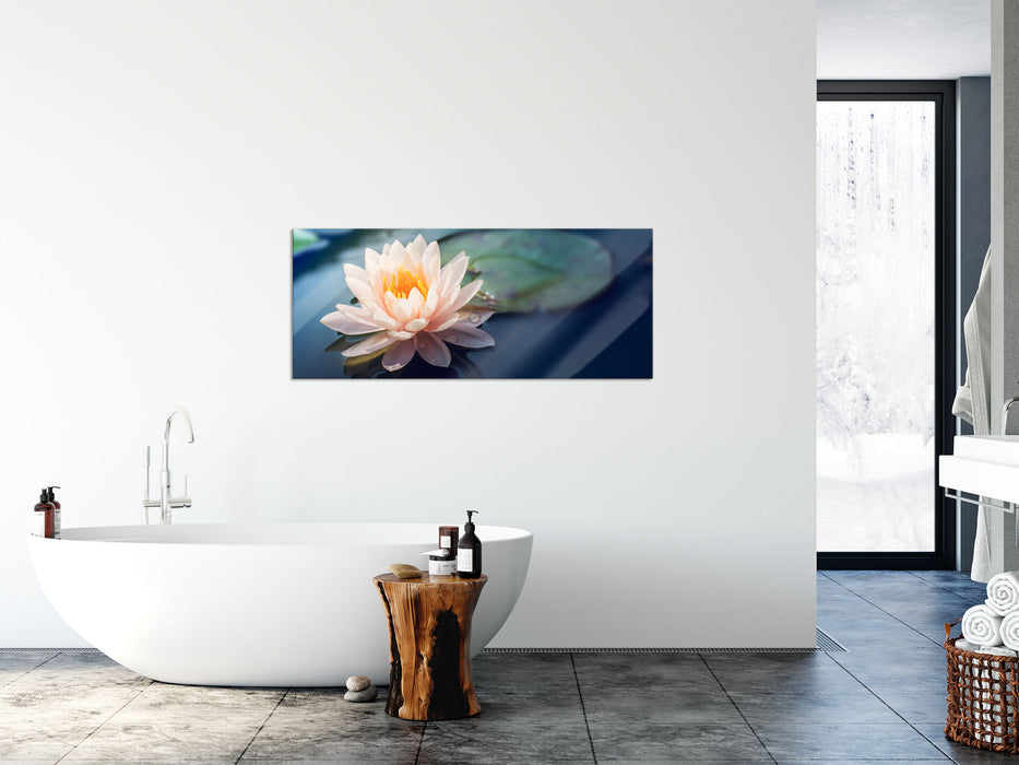 Eine rosa Lotusblume in Teich, Glasbild Panorama