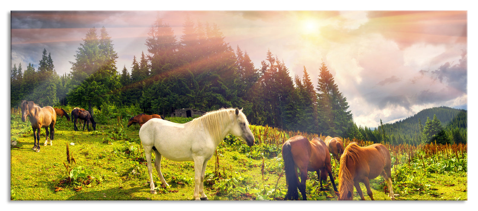 Pixxprint Mustangs Pferde auf den Bergen, Glasbild Panorama