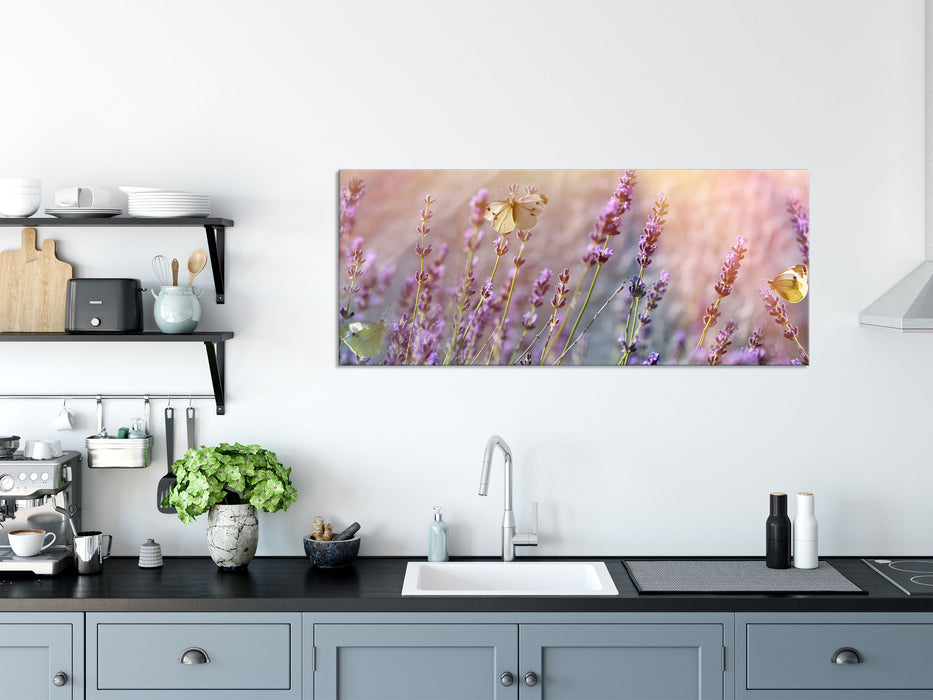 Schmetterlinge auf Lavendelblumen, Glasbild Panorama