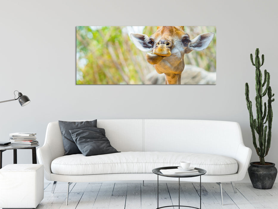 Giraffe in der Natur, Glasbild Panorama