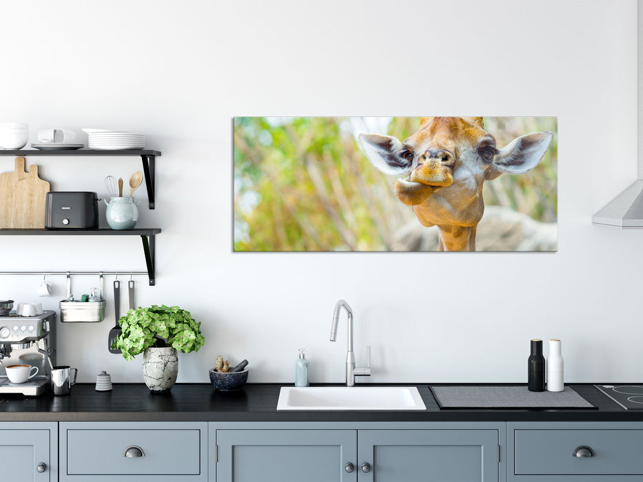 Giraffe in der Natur, Glasbild Panorama