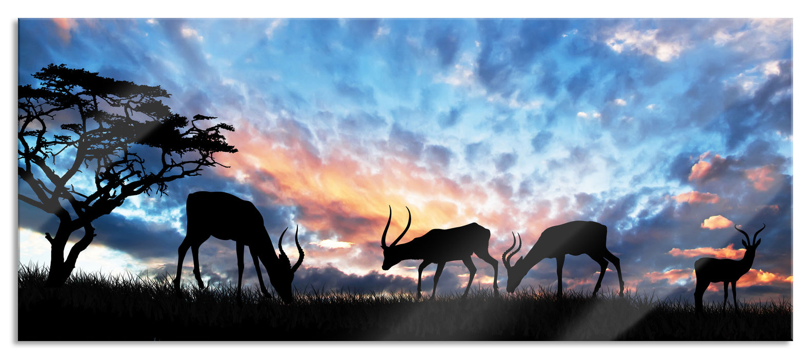 Pixxprint Tiere in der Natur am Abend, Glasbild Panorama