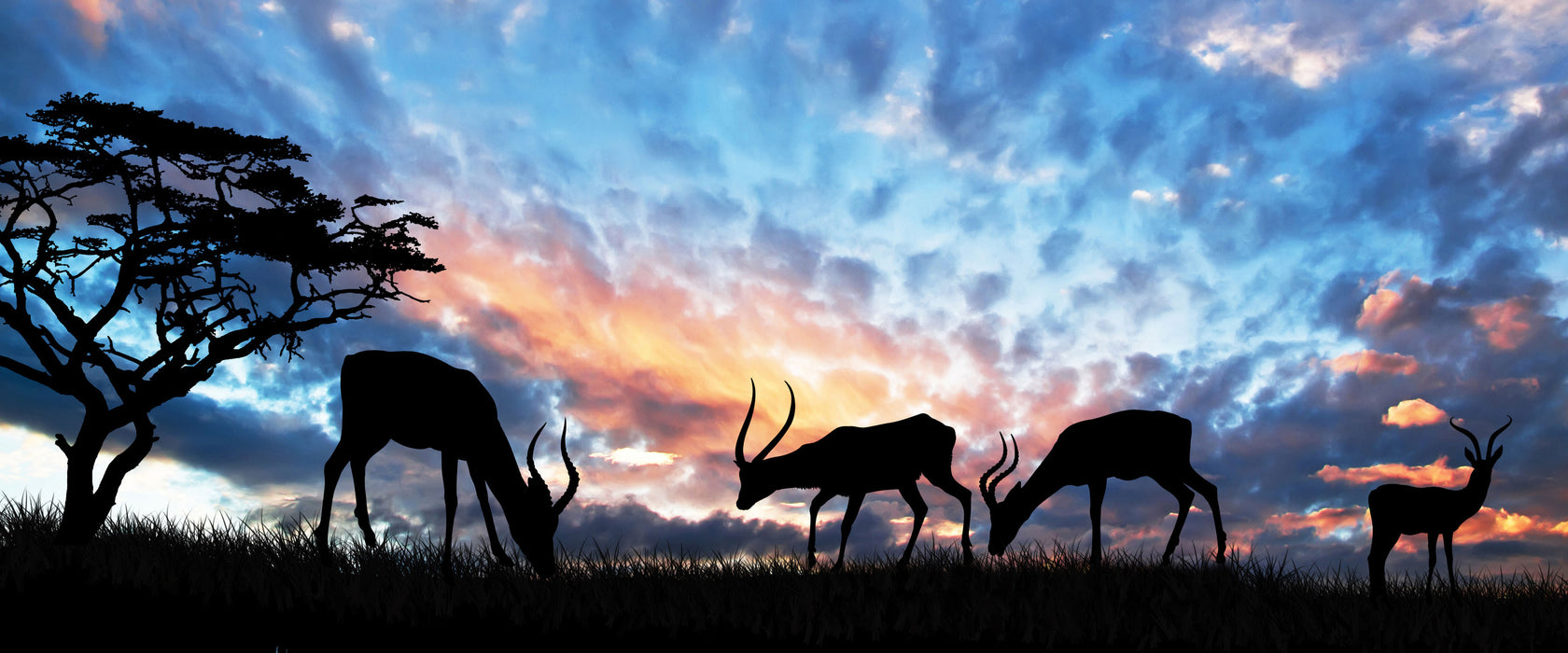 Tiere in der Natur am Abend, Glasbild Panorama