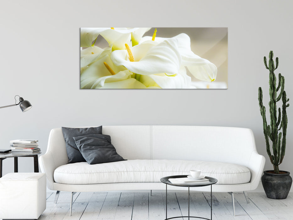 Wunderschöne weiße Calla Lilien, Glasbild Panorama