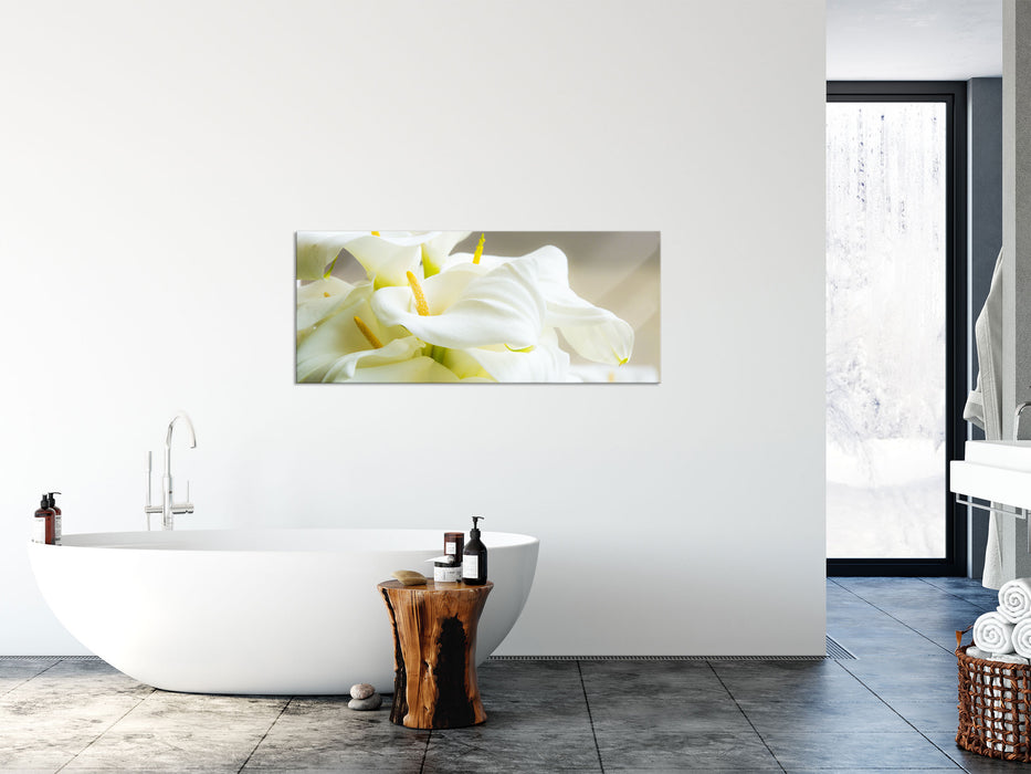 Wunderschöne weiße Calla Lilien, Glasbild Panorama