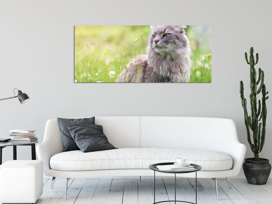 Katze in der Wildnis, Glasbild Panorama