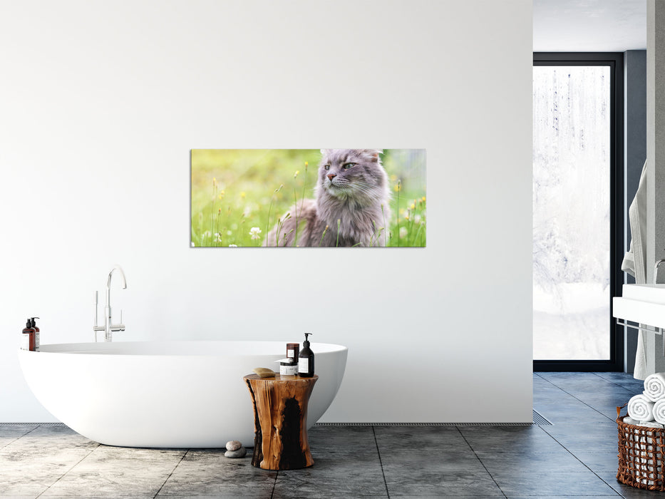 Katze in der Wildnis, Glasbild Panorama