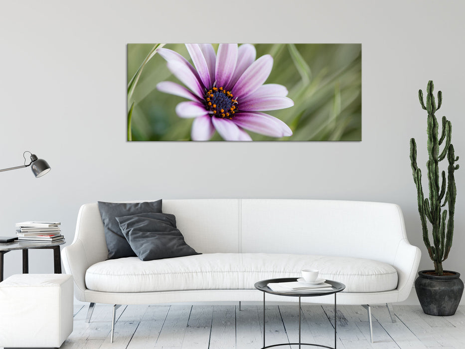 Blume in der Natur, Glasbild Panorama