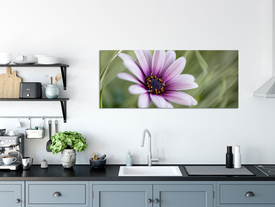 Blume in der Natur, Glasbild Panorama