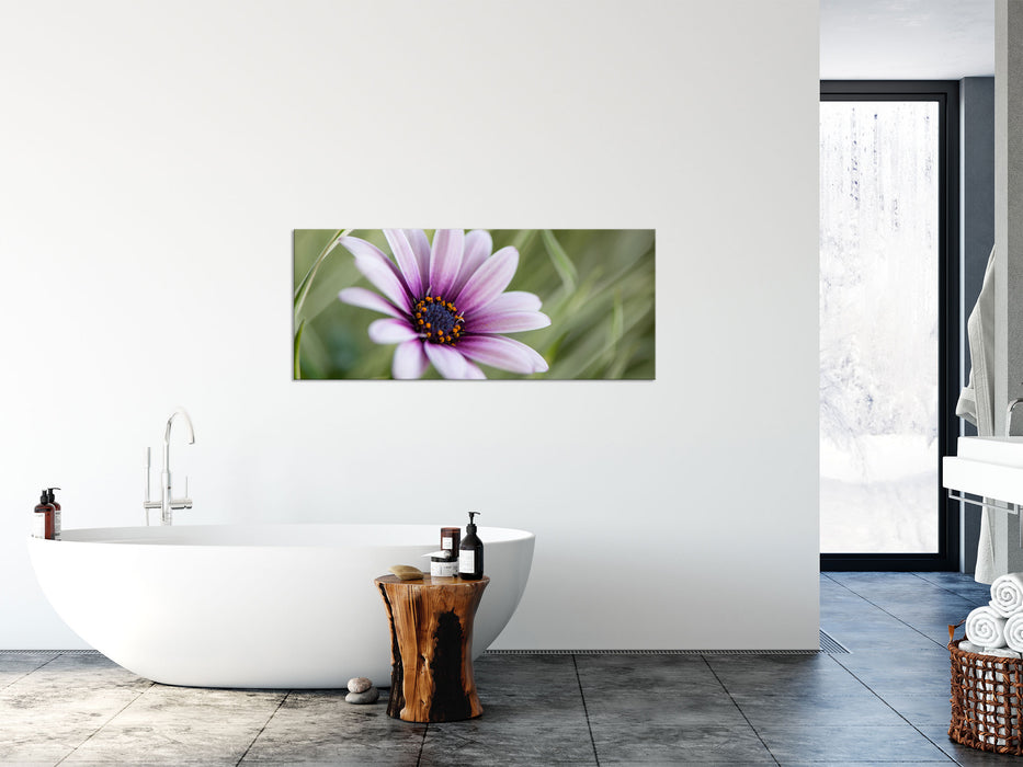 Blume in der Natur, Glasbild Panorama