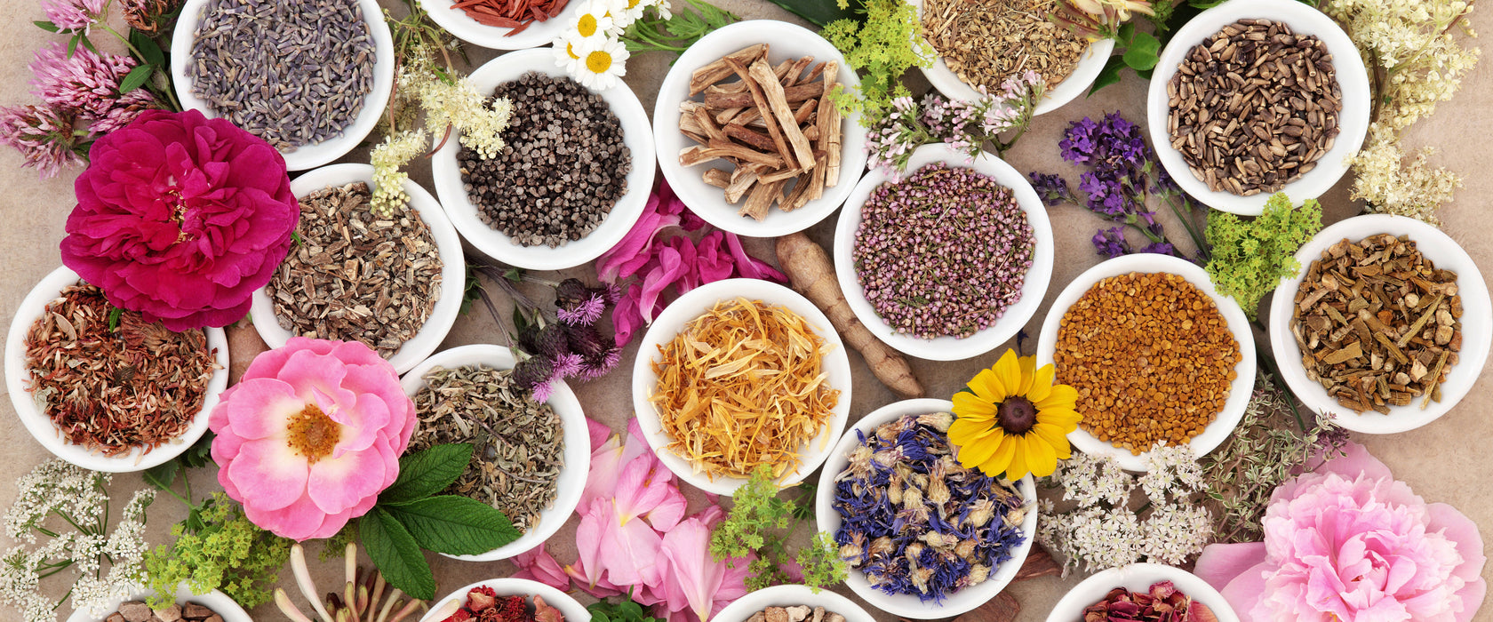 Heilende Kräuter und Blumen, Glasbild Panorama