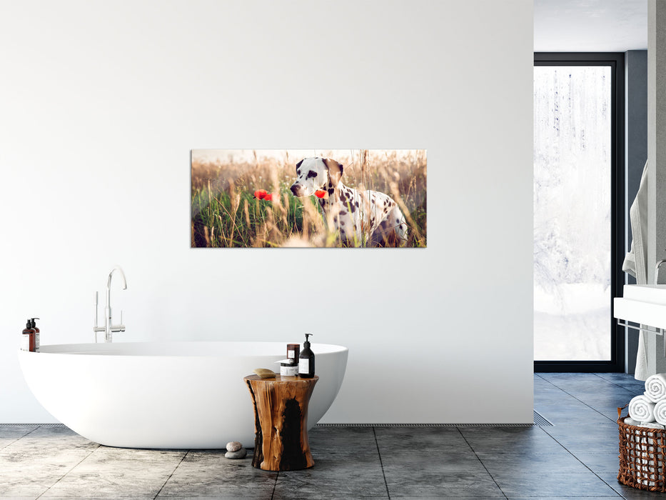 Neugieriger Hund im Feld, Glasbild Panorama