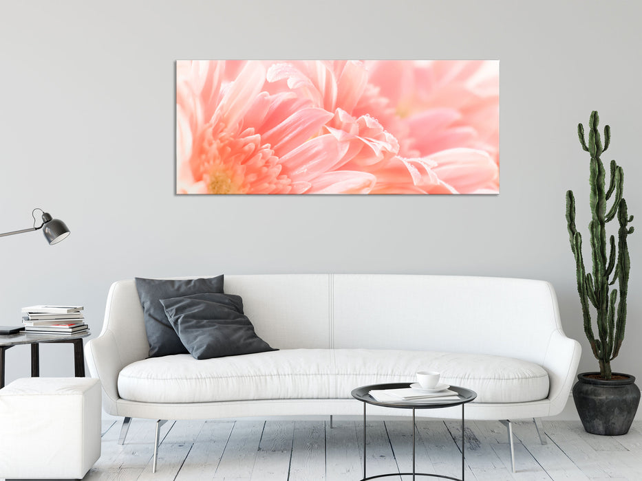 Gerbera Blume, Glasbild Panorama