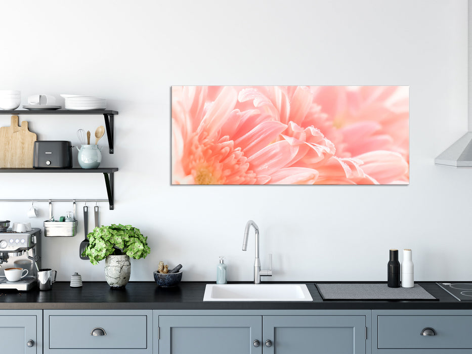 Gerbera Blume, Glasbild Panorama