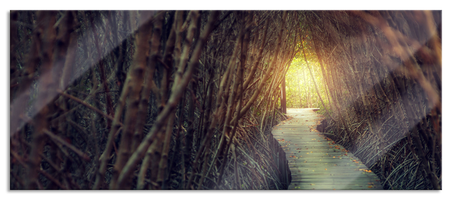 Pixxprint Gehweg im Wald, Glasbild Panorama