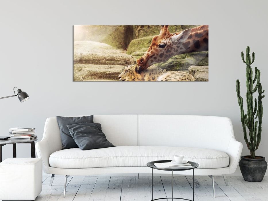 Leopard und Giraffe, Glasbild Panorama