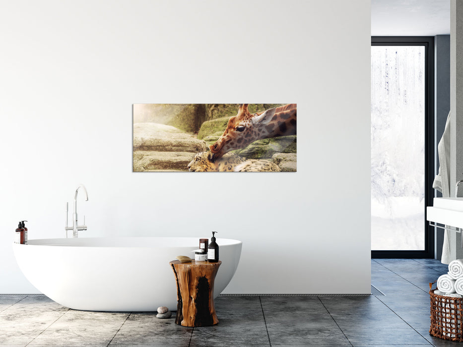 Leopard und Giraffe, Glasbild Panorama