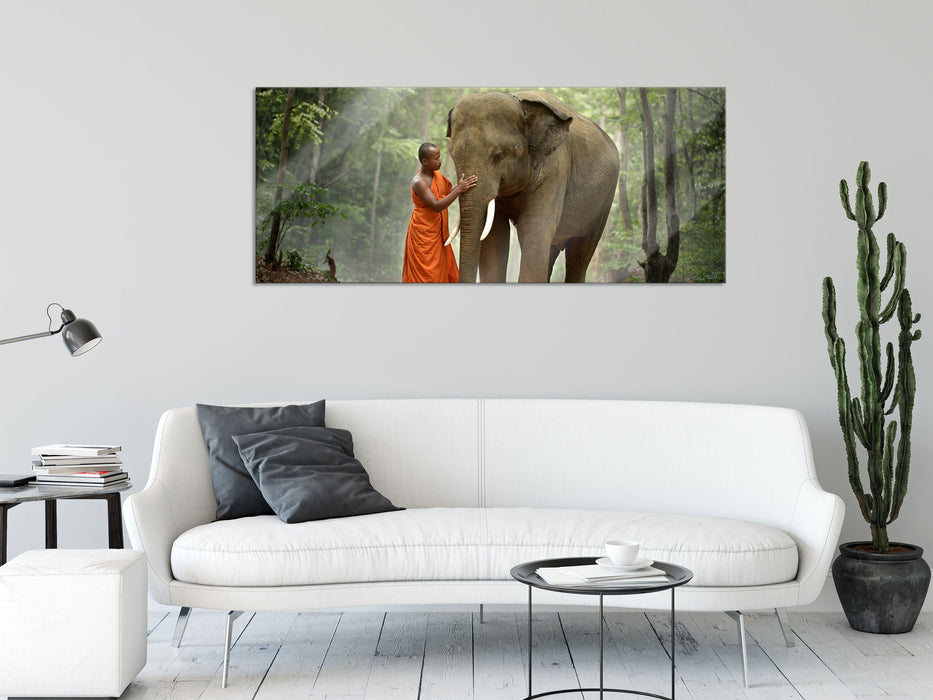 wunderschöner Elefant mit Mönch, Glasbild Panorama