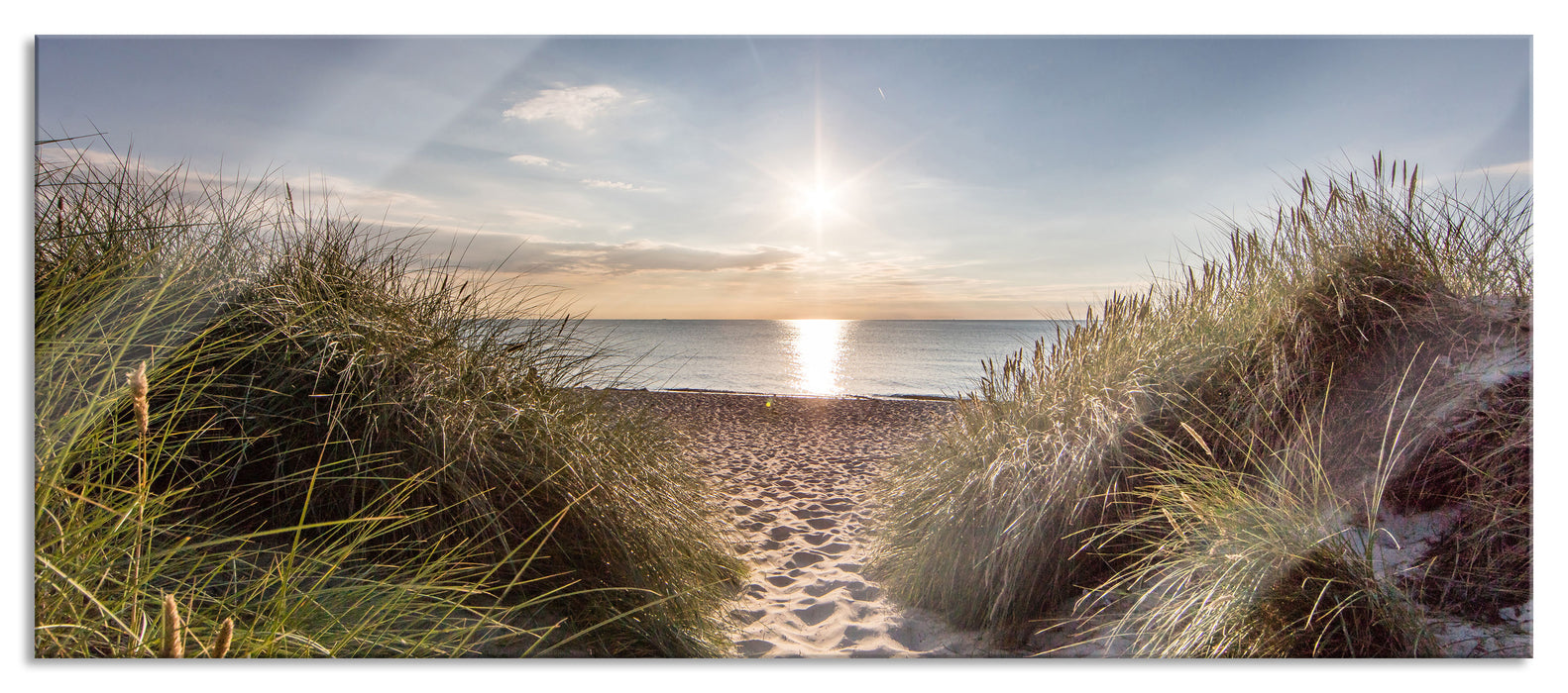 Pixxprint der Weg ins Meer, Glasbild Panorama