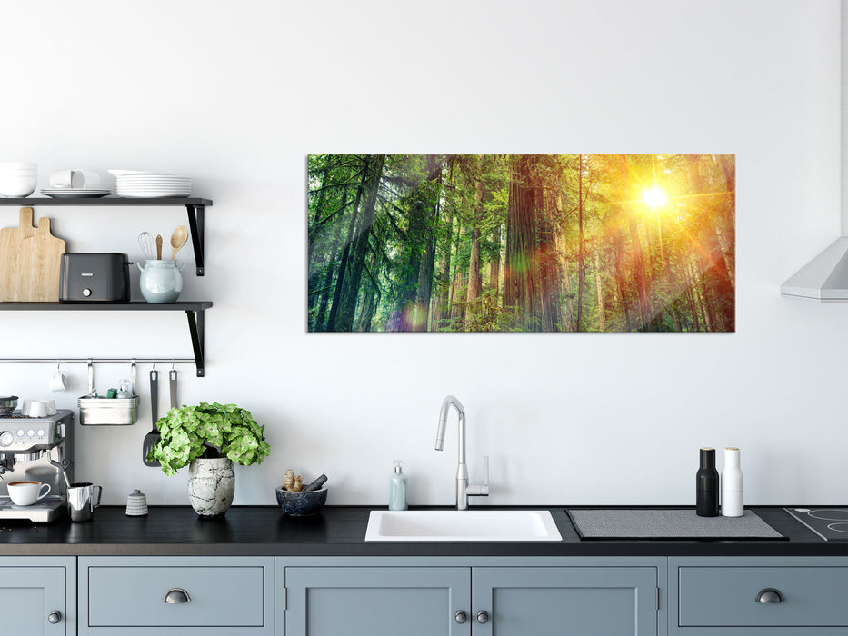 Wald bei Sonnenlicht, Glasbild Panorama