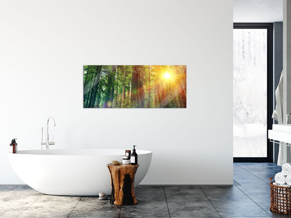 Wald bei Sonnenlicht, Glasbild Panorama