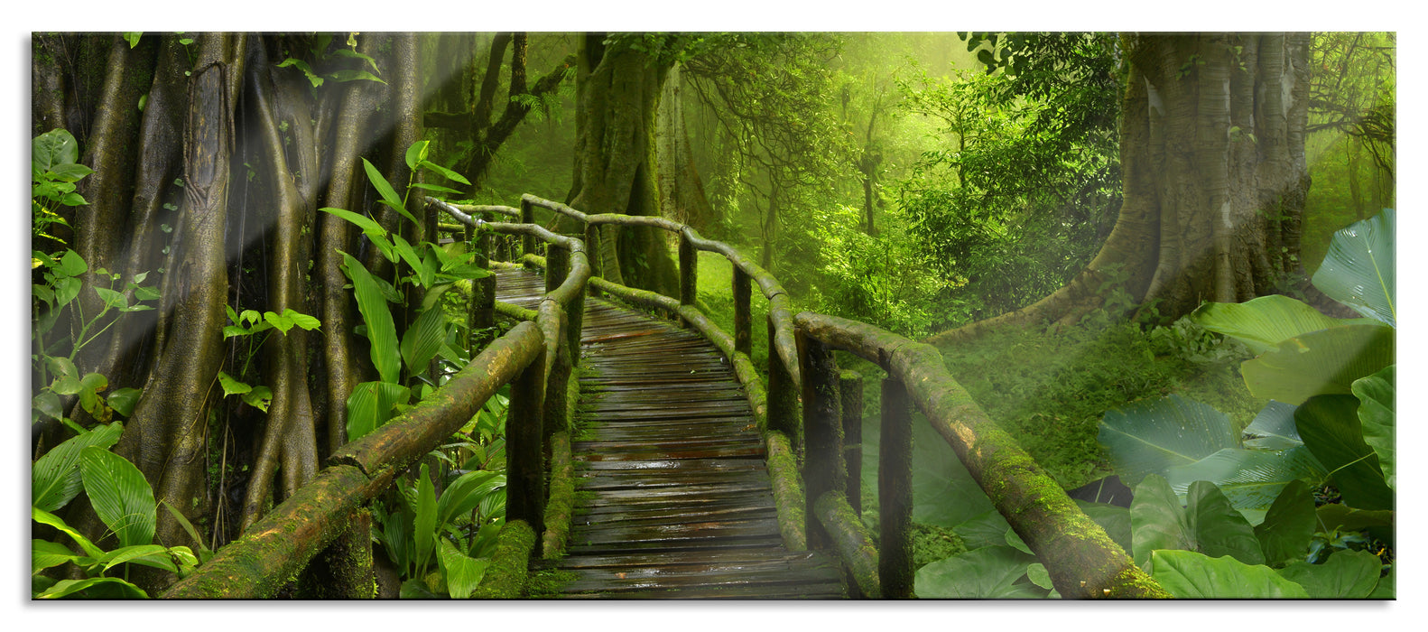 Pixxprint Weg durch den Tropenwald, Glasbild Panorama