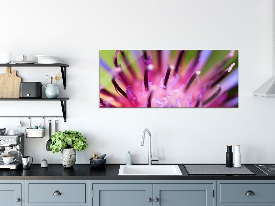 wunderschöne lila Blume im Fokus, Glasbild Panorama