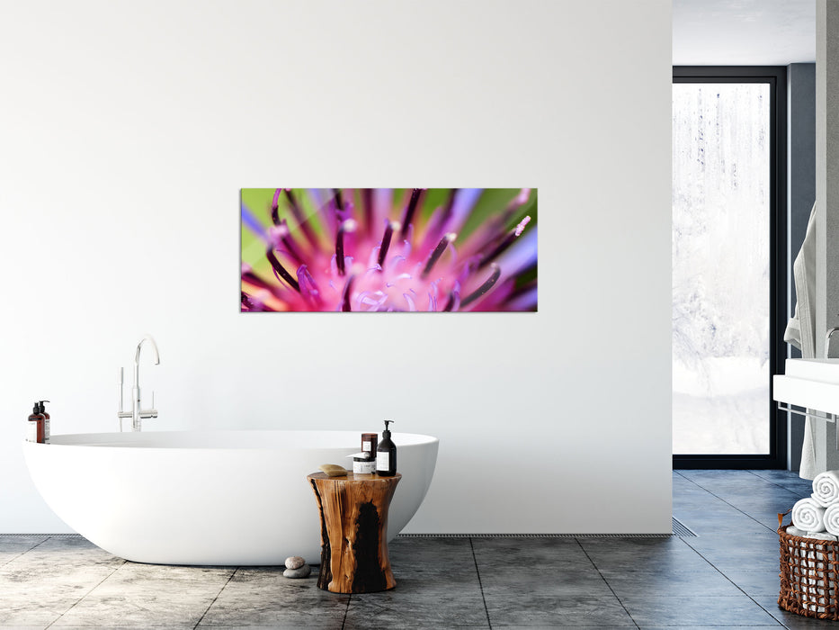 wunderschöne lila Blume im Fokus, Glasbild Panorama