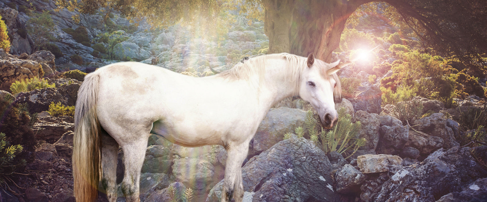 wunderbares Einhorn, Glasbild Panorama