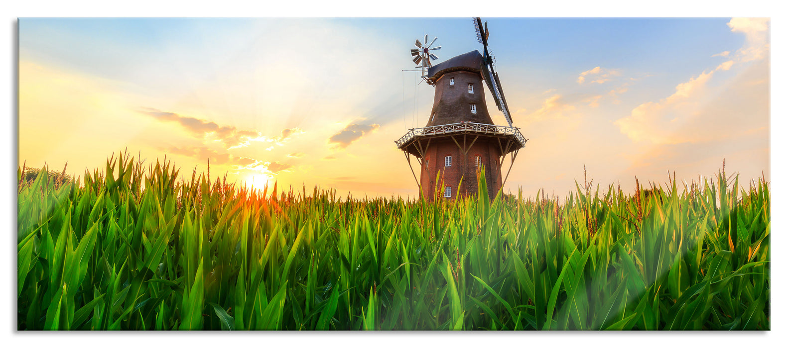 Pixxprint schöne Windmühle auf dem Feld, Glasbild Panorama