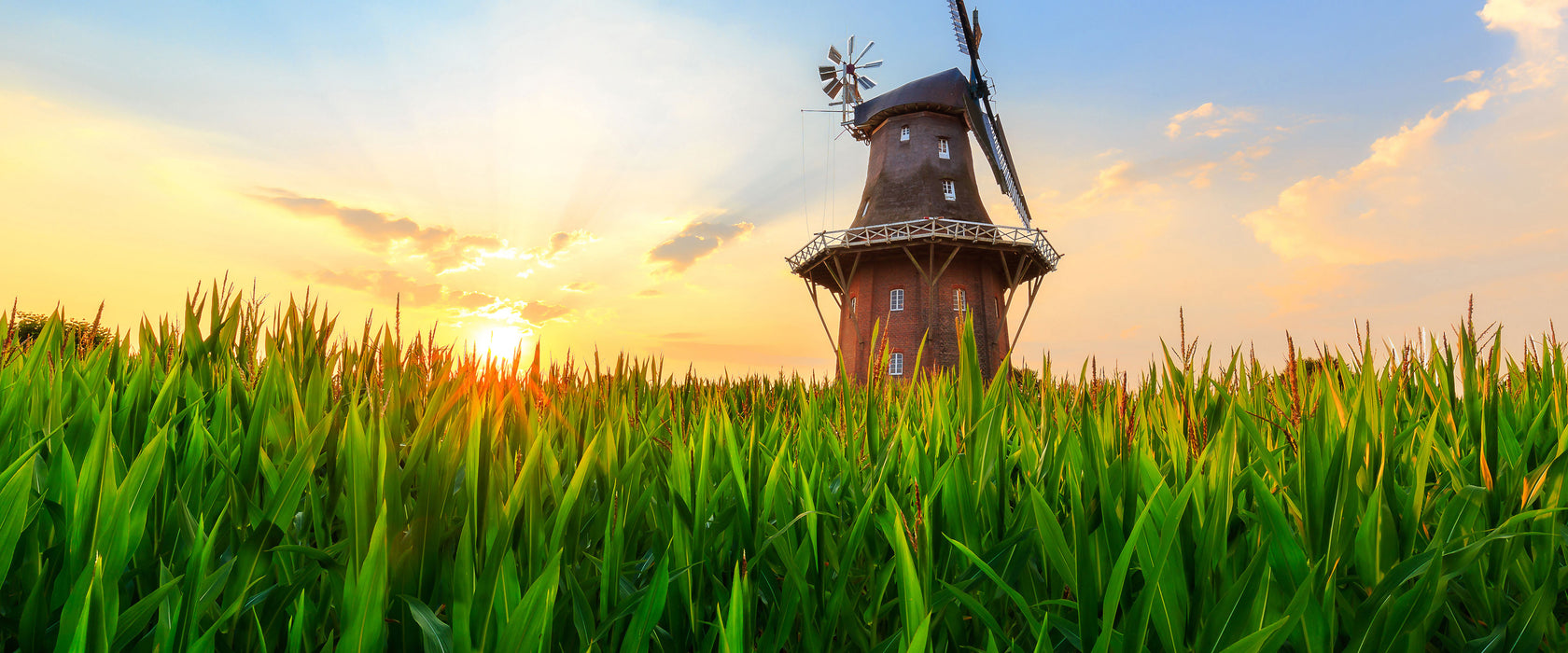 schöne Windmühle auf dem Feld, Glasbild Panorama