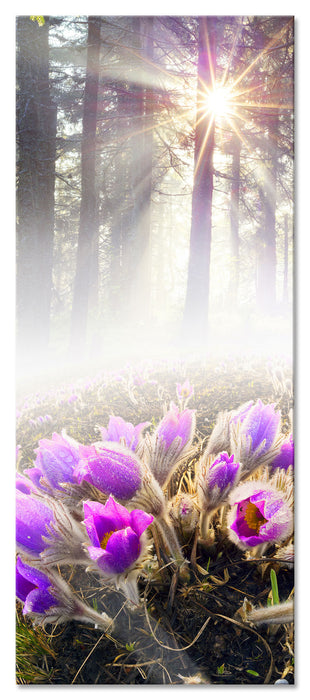 Pixxprint lila Blumen im Wald, Glasbild Panorama