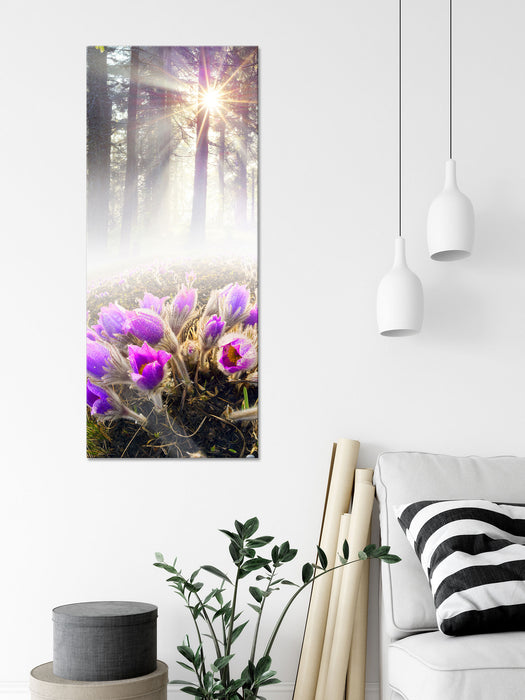 lila Blumen im Wald, Glasbild Panorama