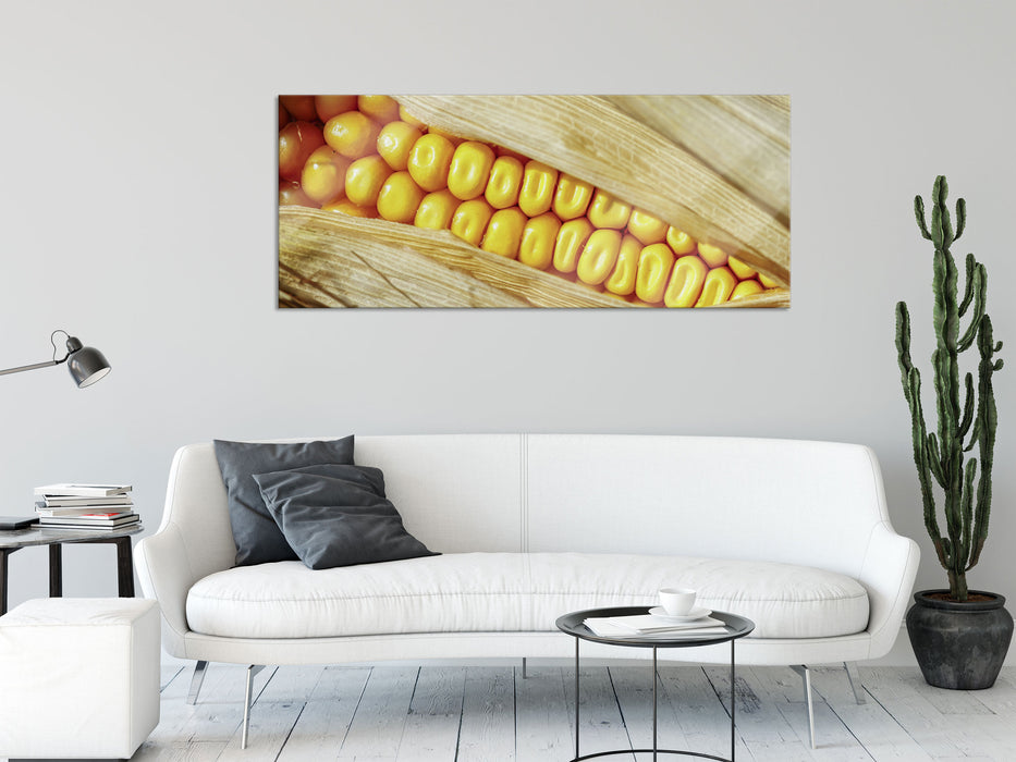 Maiskolben in der Nahaufnahme, Glasbild Panorama