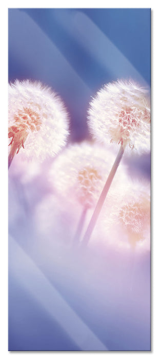 Pixxprint Pusteblumen im morgendlichen Wind, Glasbild Panorama